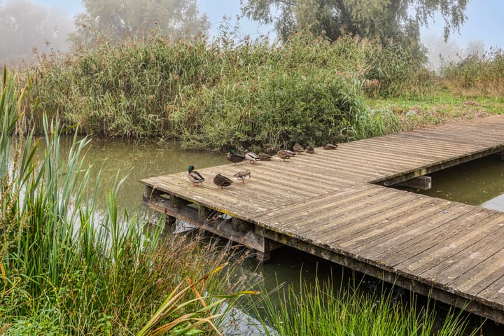 Foto 34 van Hofvijver 11