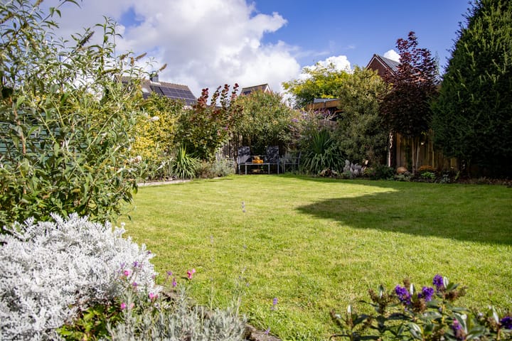 Foto 37 van Veldbeemd 1