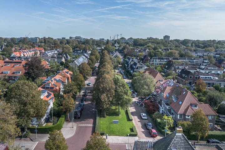 Photo 48 of Pieter de Hooghstraat 11