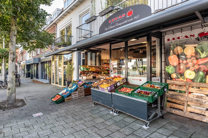 Photo 49 of Pieter de Hooghstraat 11