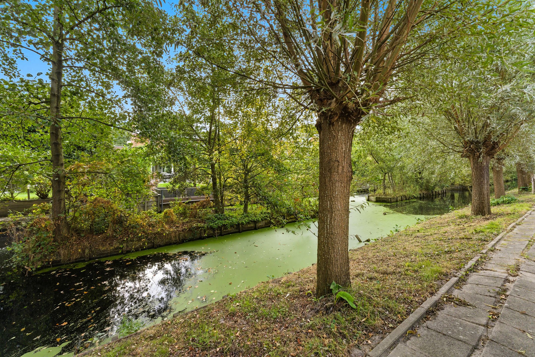 Photo 45 of Pieter Rosemondweg 25