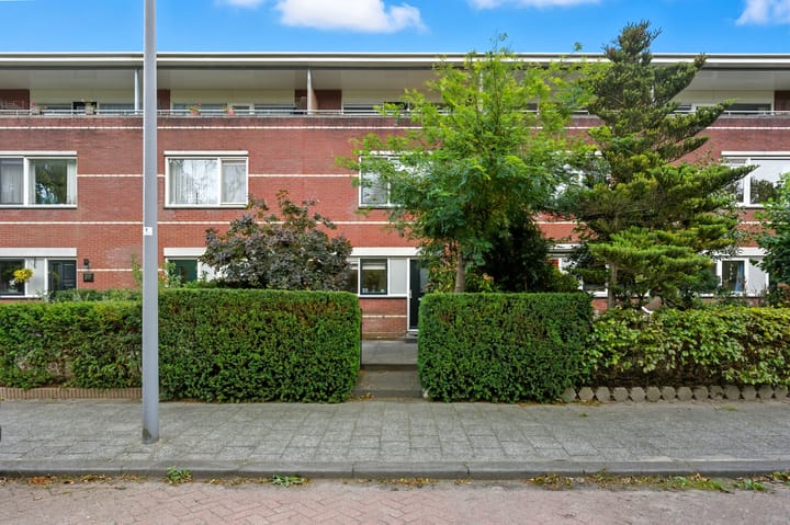 Foto 47 van Pieter Rosemondweg 25