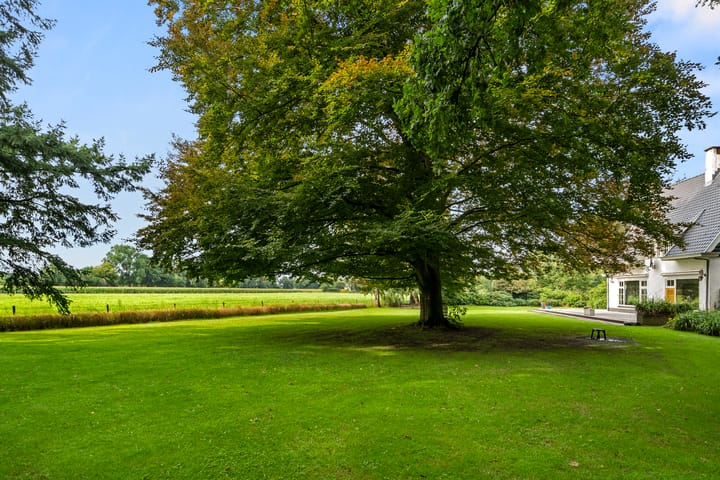 Foto 48 van Molenweg 10