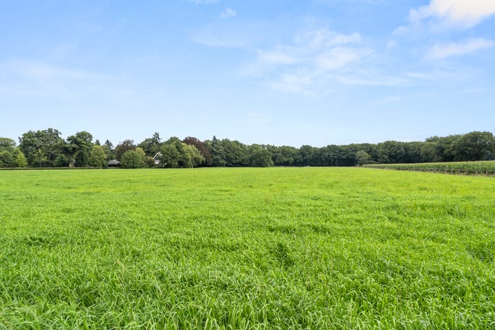 Foto 70 van Molenweg 10