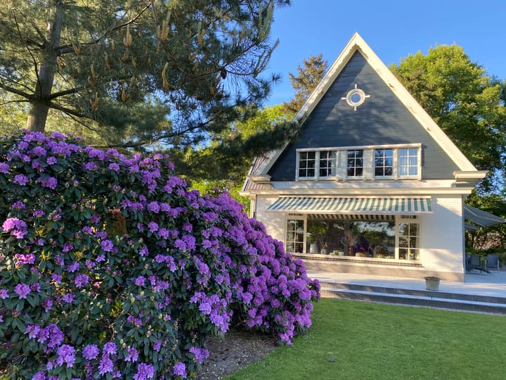 Foto 71 van Molenweg 10