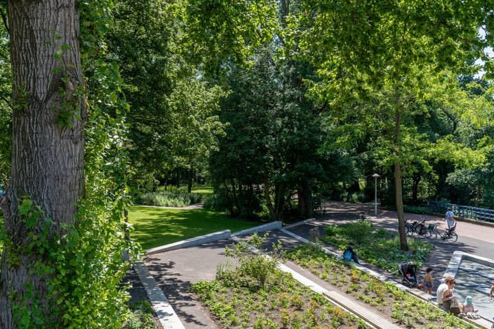 Foto 39 van Paramaribostraat 58-2