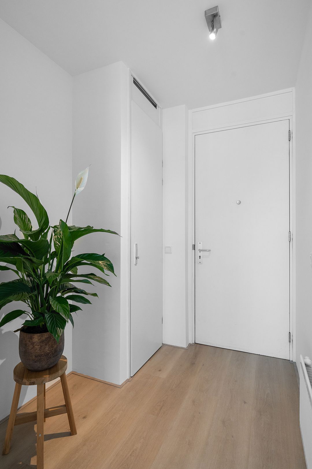 Photo 23 of Winthontstraat 54