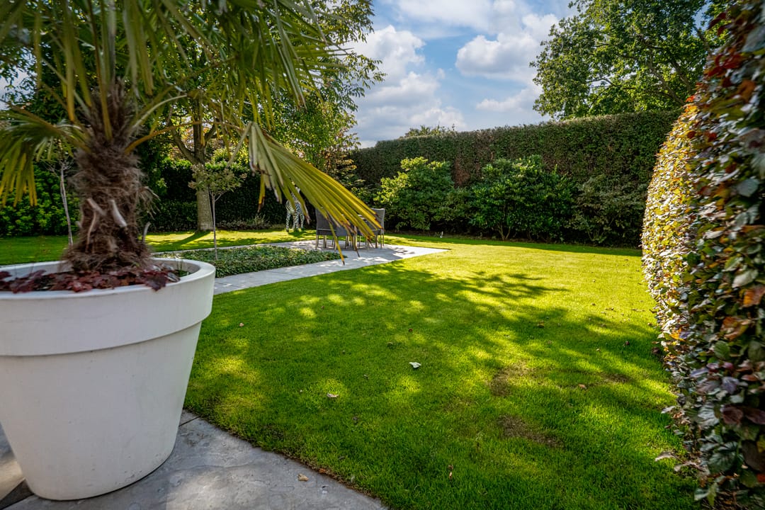 Foto 31 van de Gamert 2421