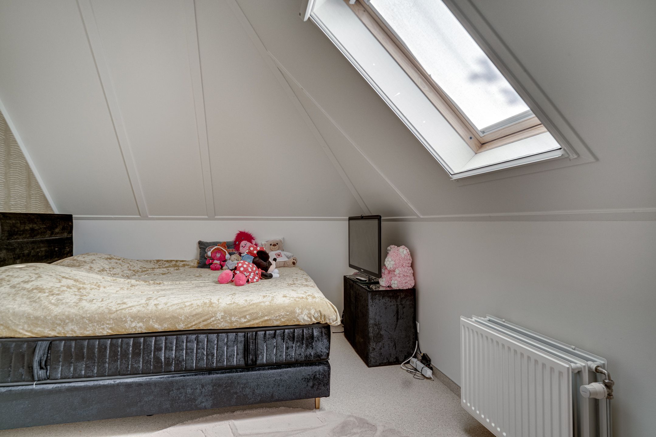 Foto 57 van de Gamert 2421