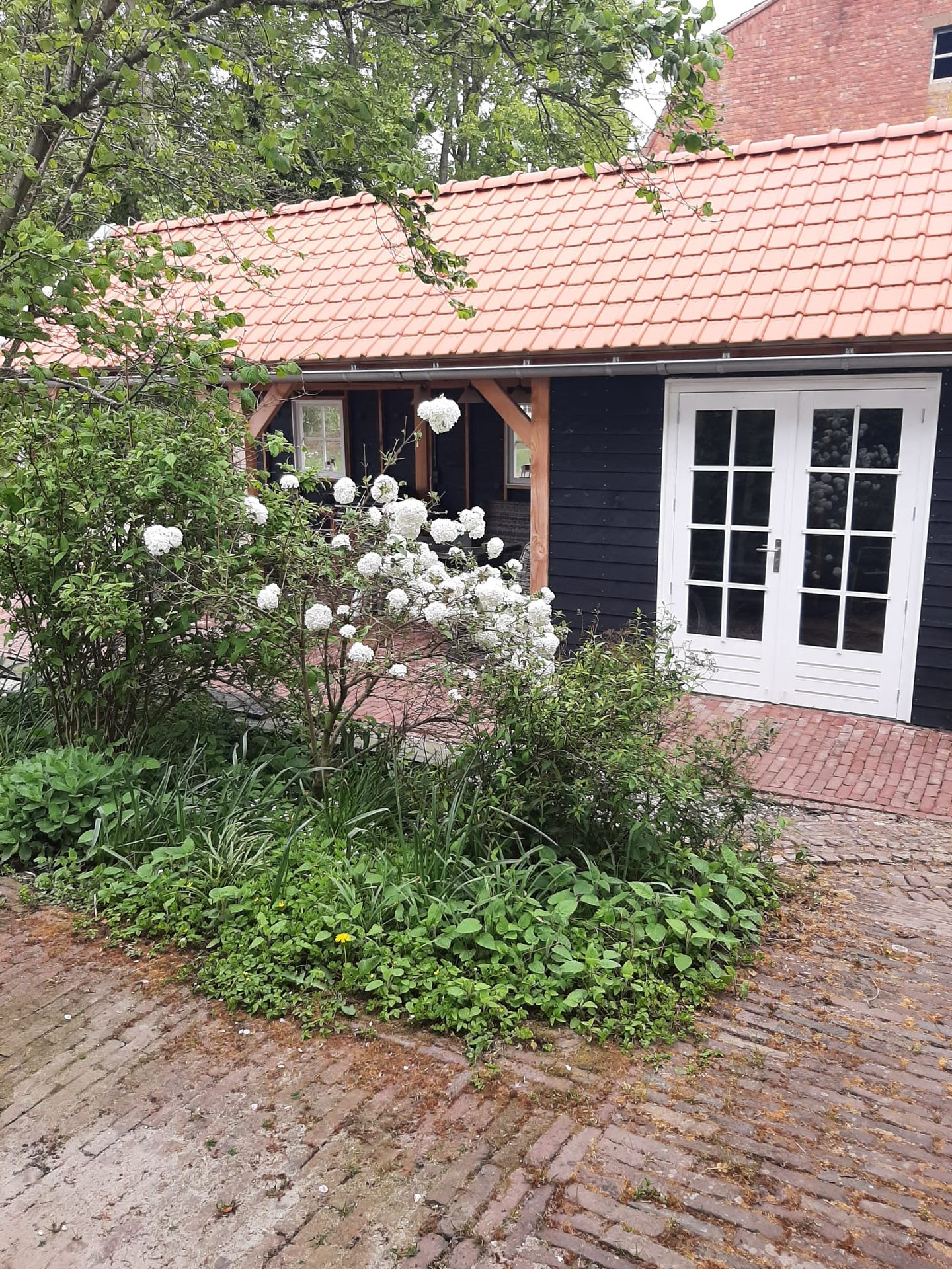 Foto 50 van Bettewaardsedijk 9