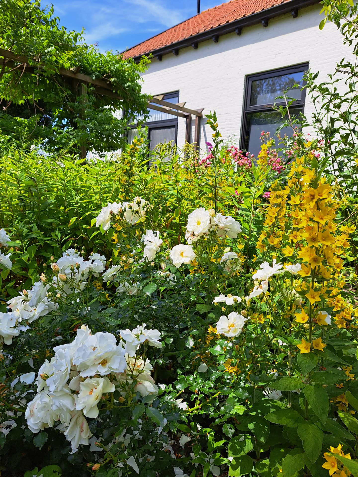 Foto 55 van Bettewaardsedijk 9