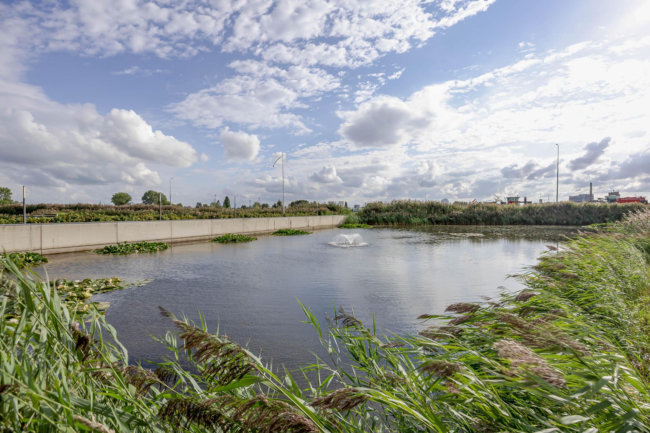 Photo 24 of Regattaweg 424