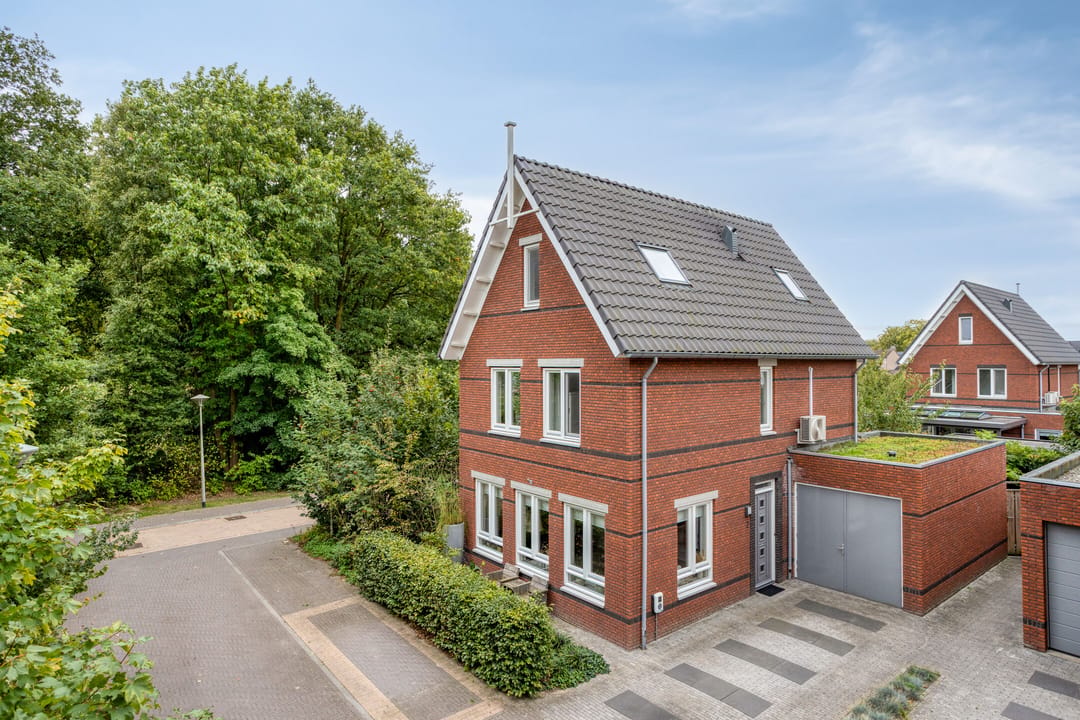 Foto 1 van De kiem 2