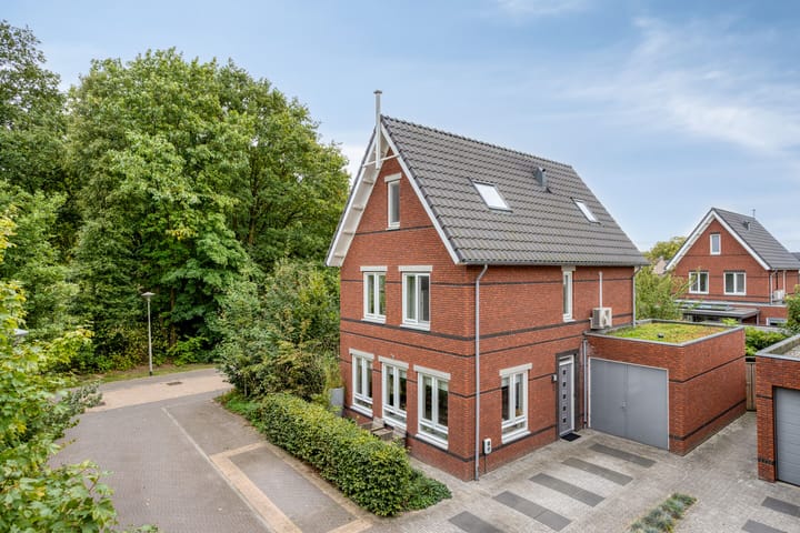De kiem 2 main image