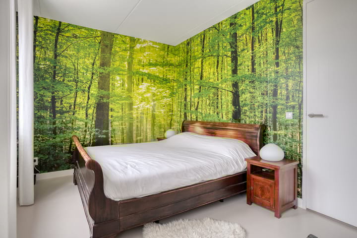 Foto 19 van De kiem 2