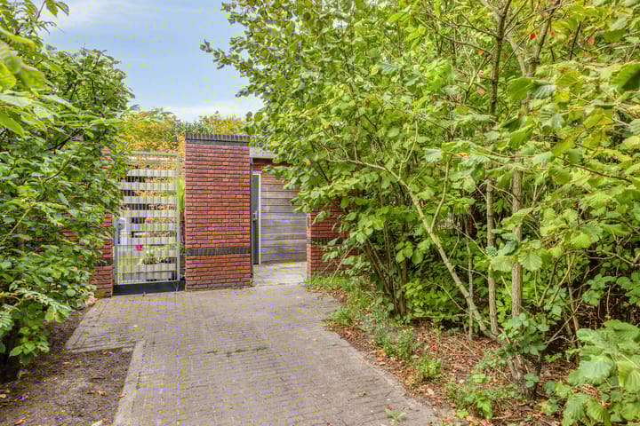 Foto 37 van De kiem 2