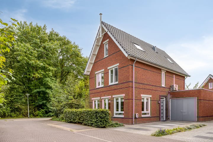 Foto 39 van De kiem 2