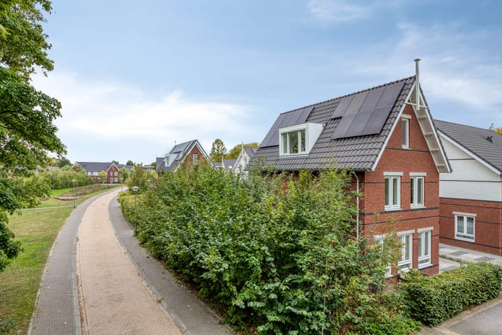 Foto 40 van De kiem 2