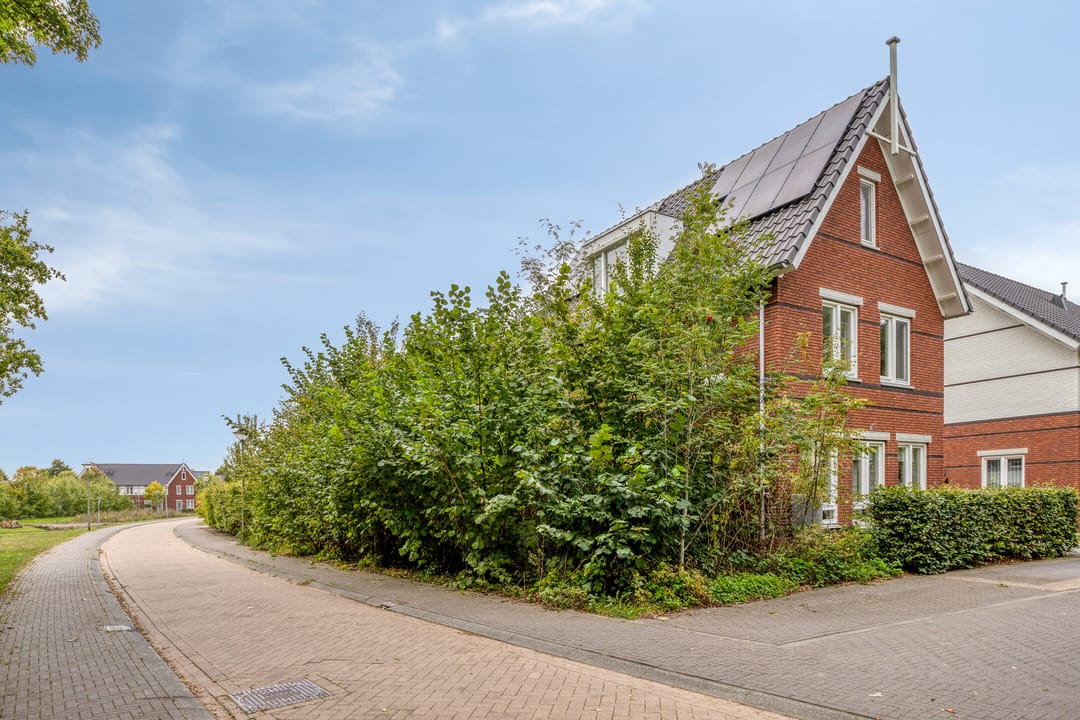 Foto 41 van De kiem 2
