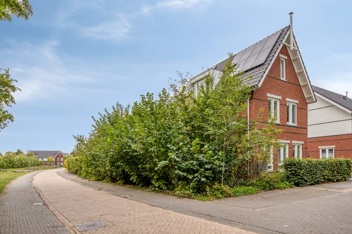 Foto 41 van De kiem 2