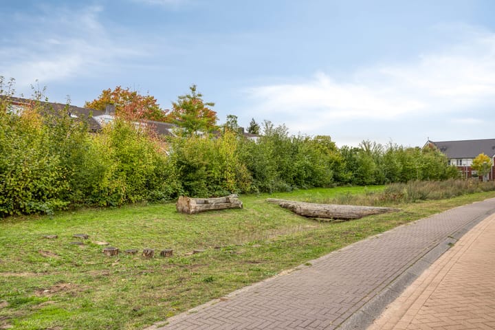 Foto 42 van De kiem 2