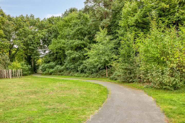 Foto 43 van De kiem 2