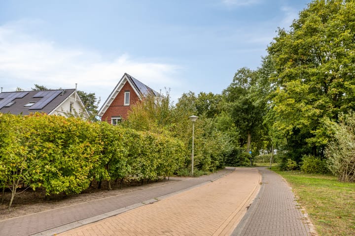 Foto 44 van De kiem 2