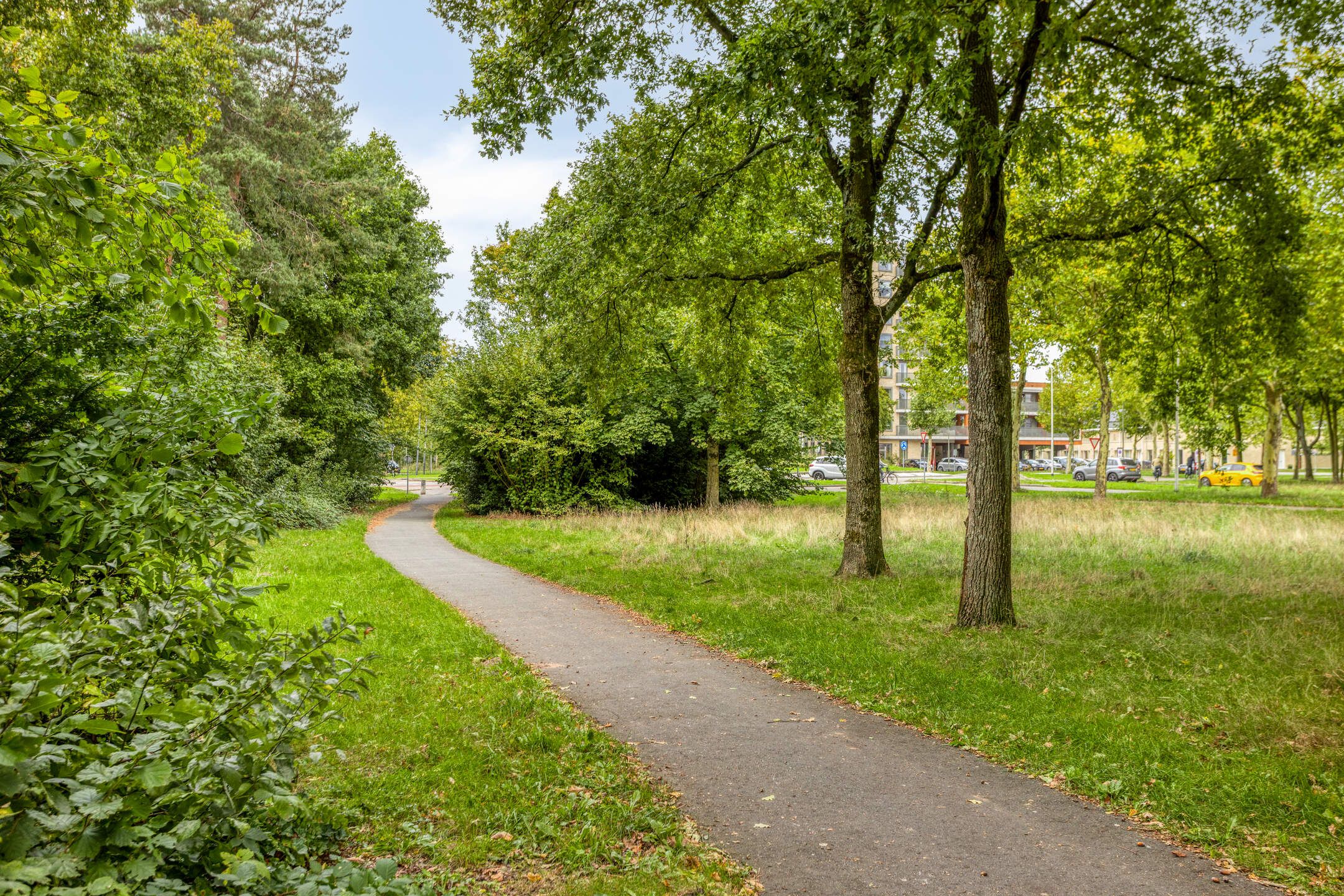 Foto 45 van De kiem 2