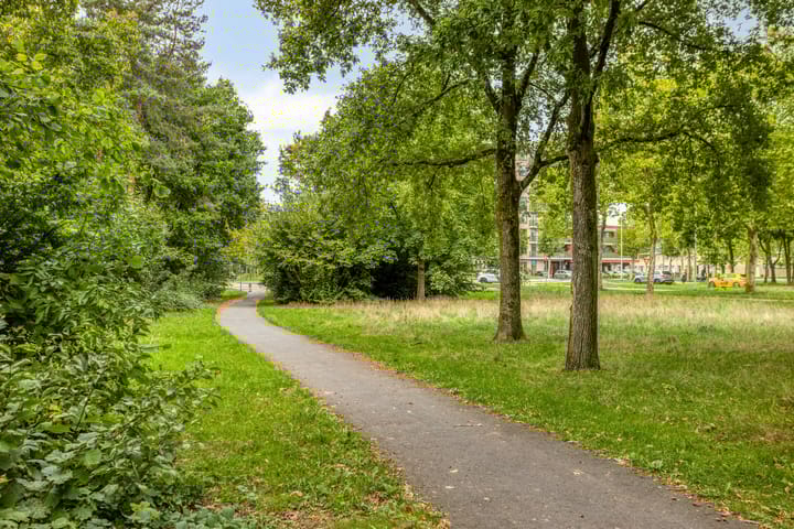 Foto 45 van De kiem 2