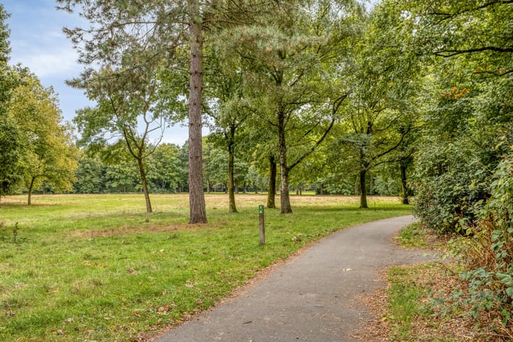 Foto 46 van De kiem 2