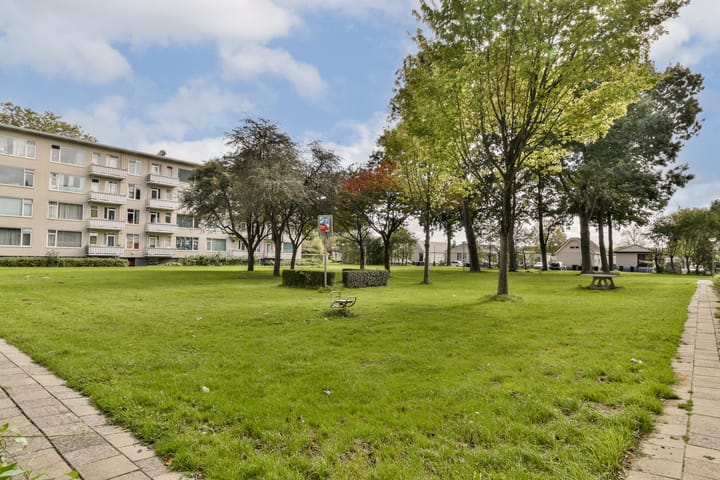 Foto 25 van Witte de Withstraat 11