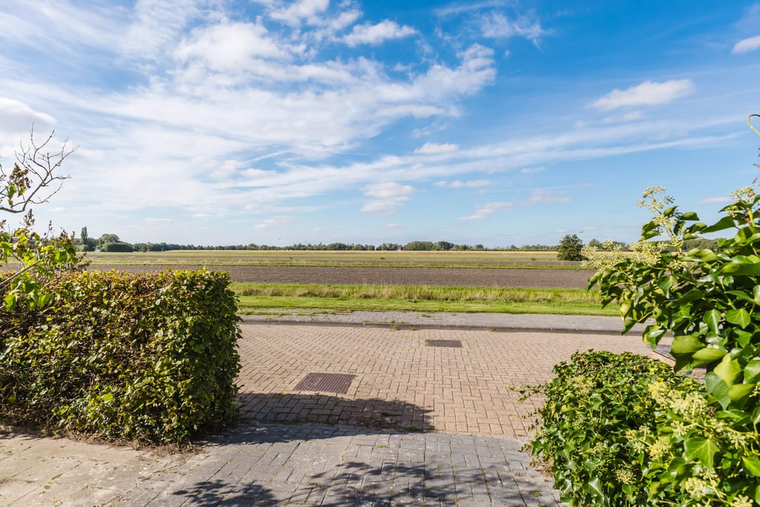 Photo 13 of Anne Hanzeswyk 6