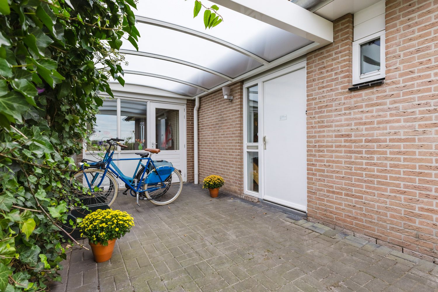 Photo 18 of Anne Hanzeswyk 6