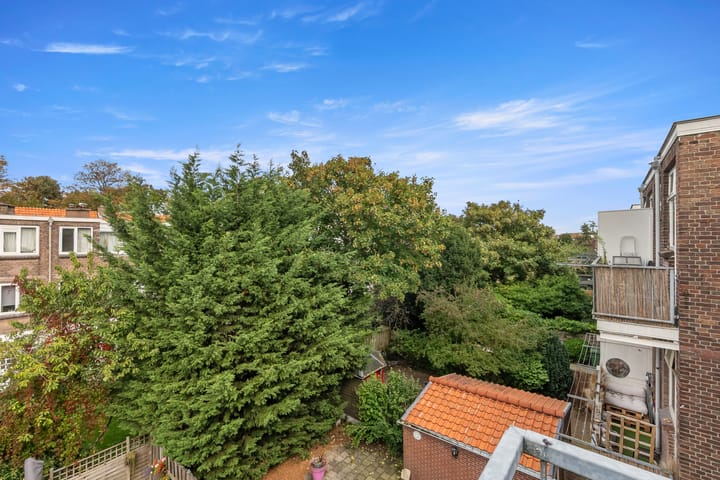 Foto 41 van Caan van Necklaan 107