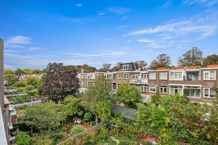 Foto 42 van Caan van Necklaan 107