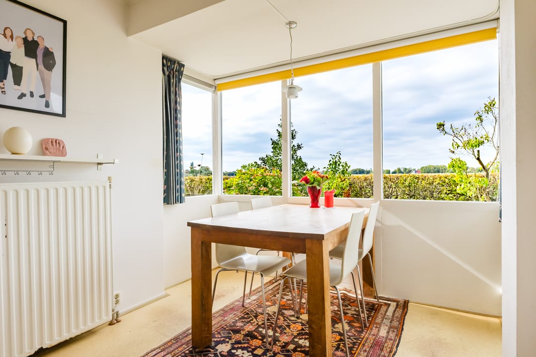 Photo 31 of Anne Hanzeswyk 6