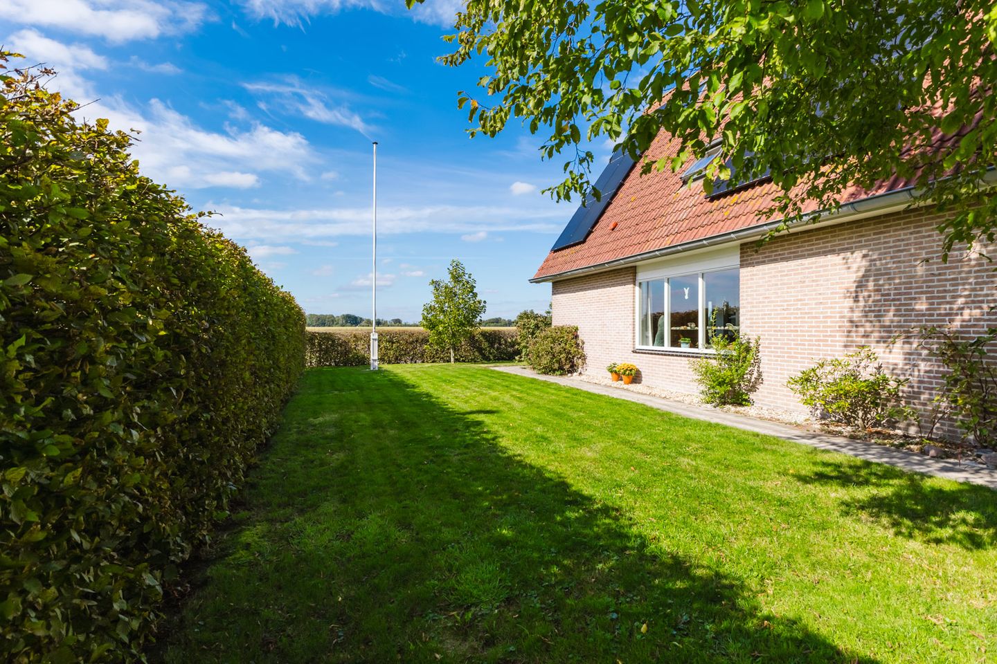 Photo 59 of Anne Hanzeswyk 6