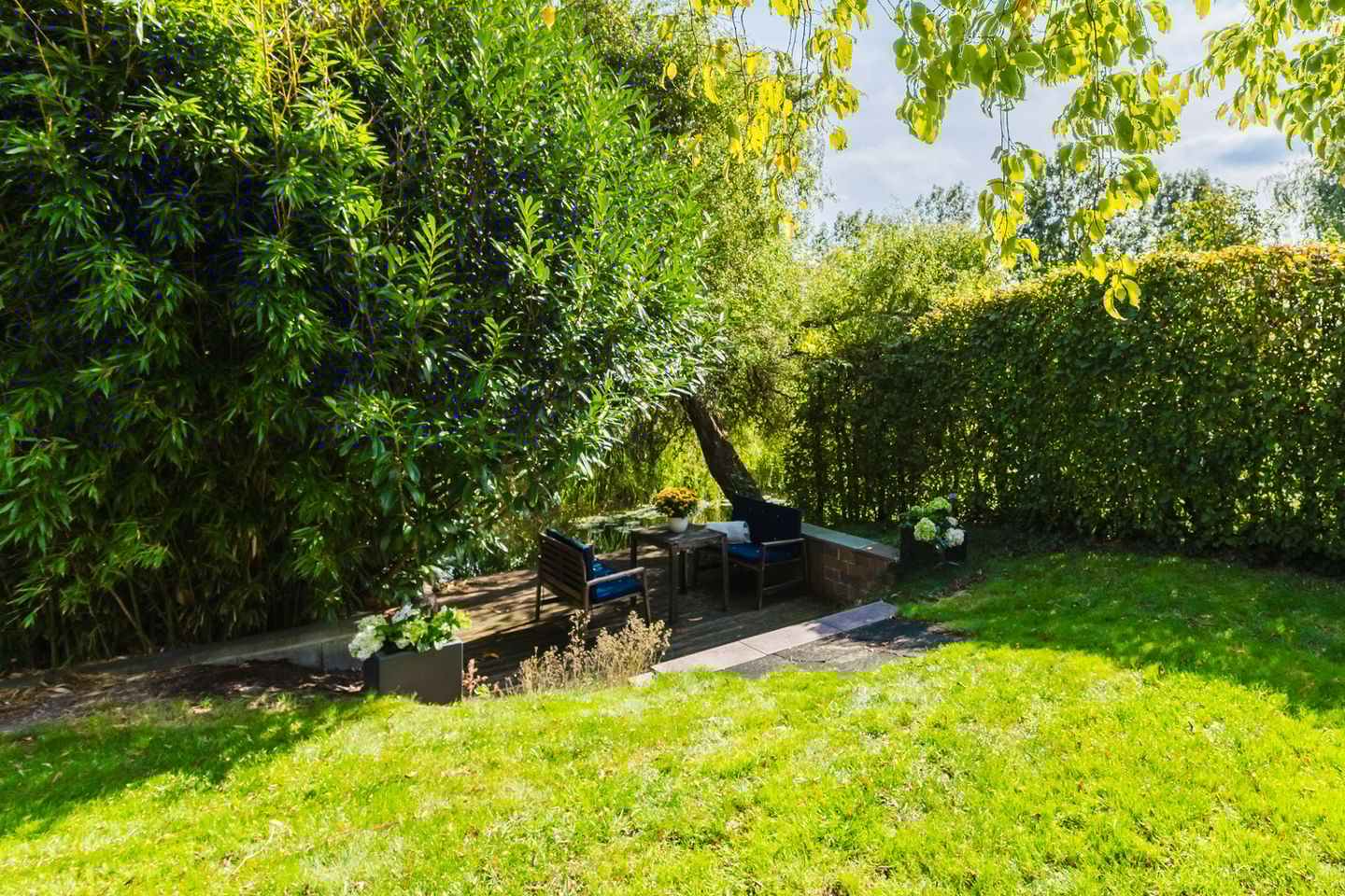 Photo 64 of Anne Hanzeswyk 6