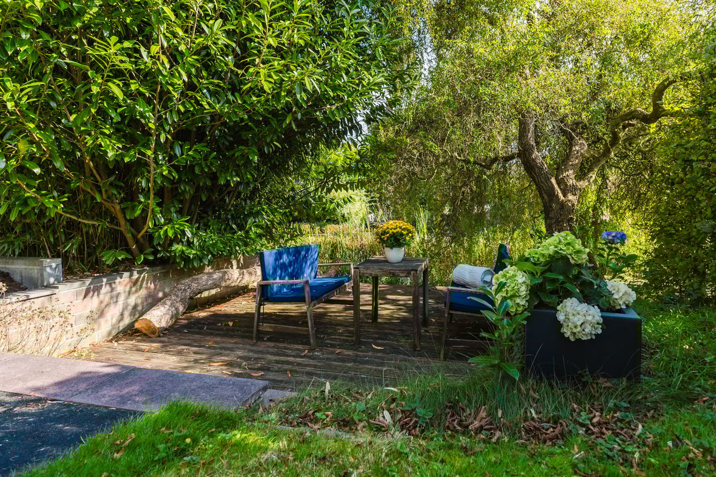 Photo 65 of Anne Hanzeswyk 6