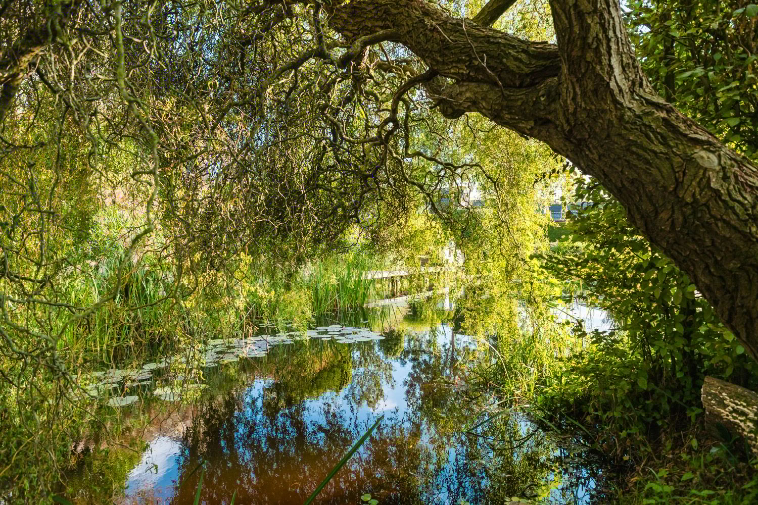 Photo 66 of Anne Hanzeswyk 6