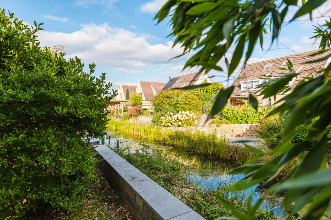 Photo 67 of Anne Hanzeswyk 6