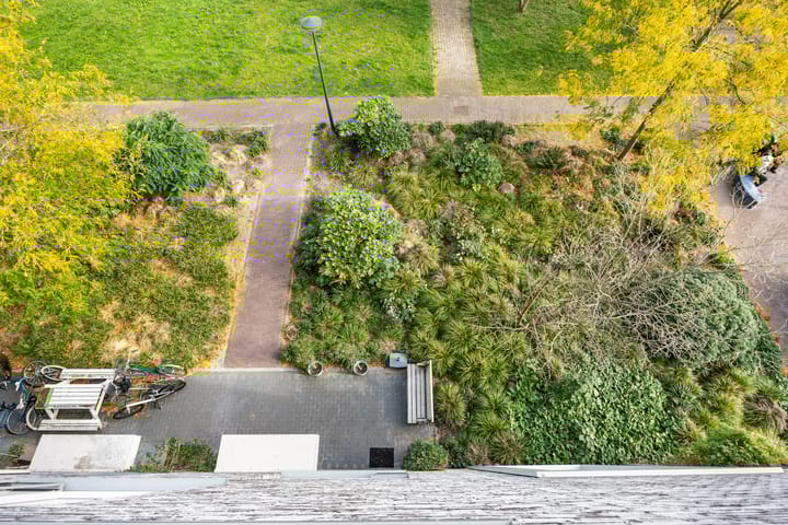 Photo 41 of Steven van Dorpelpad 33