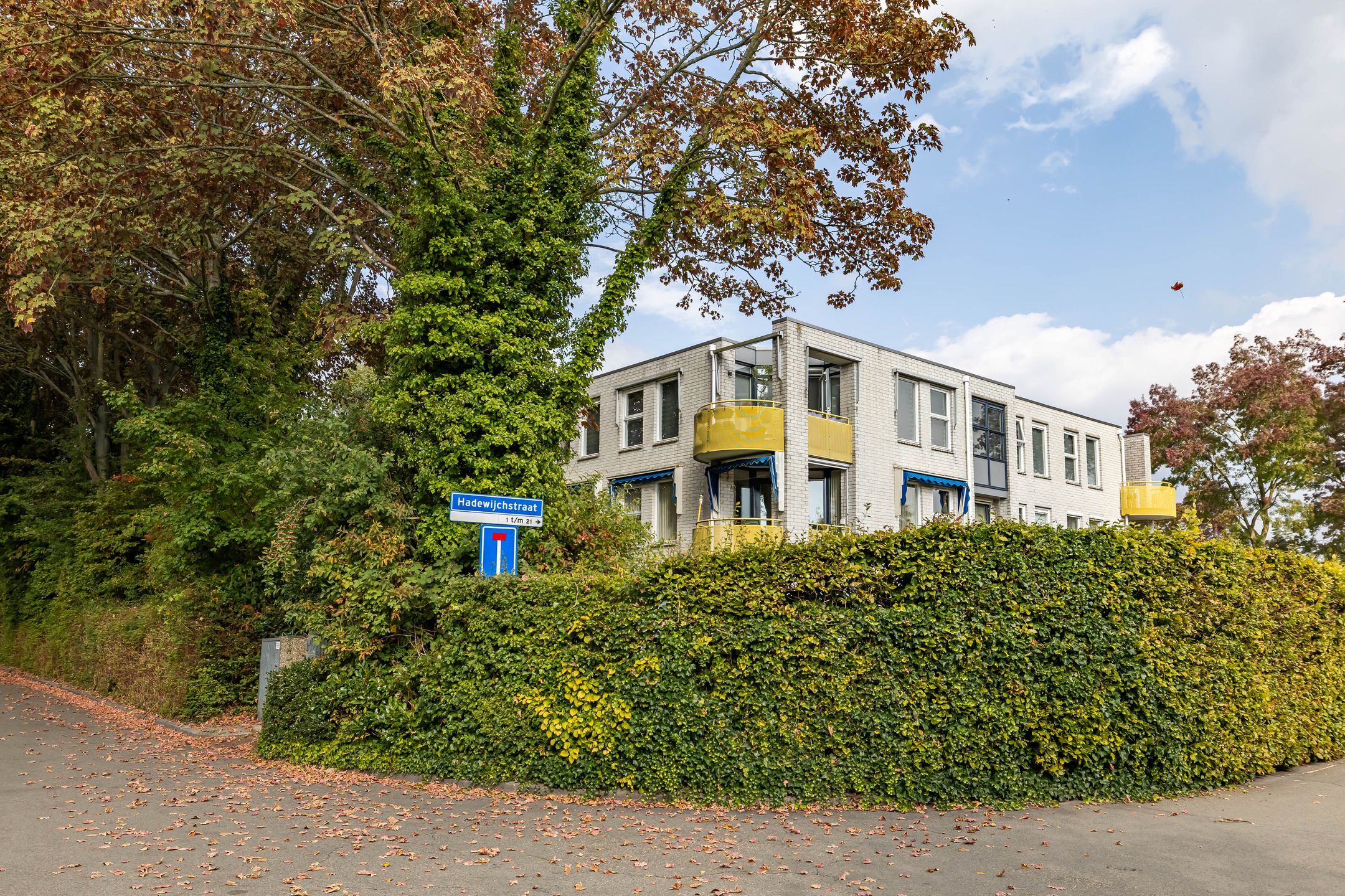 Foto 6 van Van Maerlantlaan 26