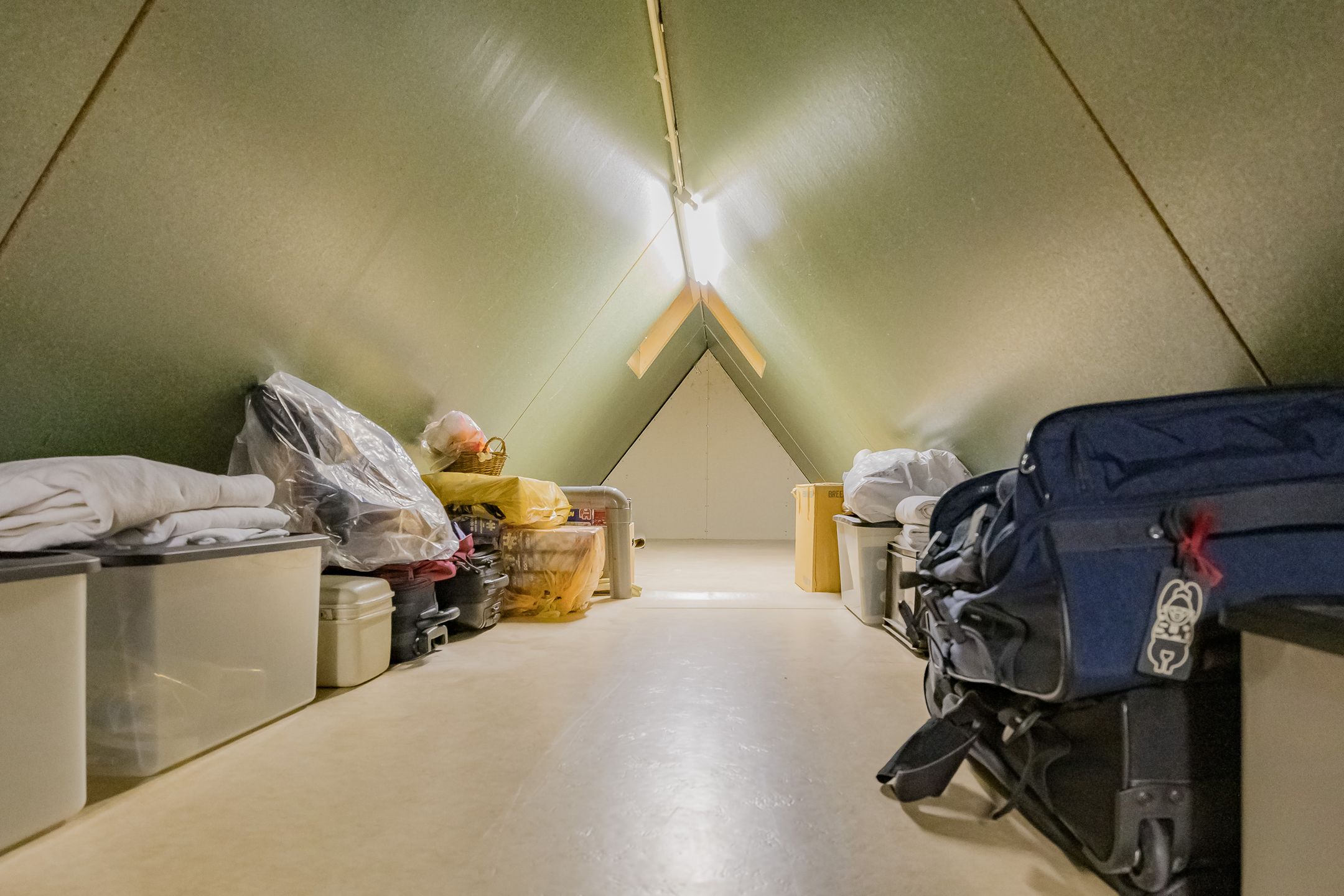 Photo 63 of Hogeweg 7