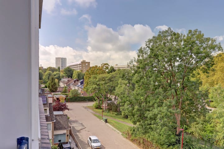 Foto 24 van Richterslaan 111