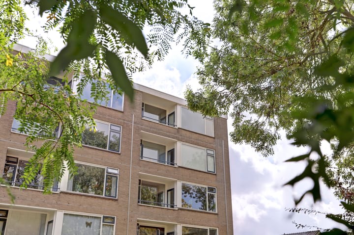 Foto 33 van Richterslaan 111