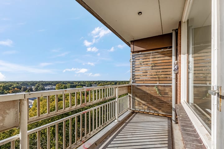 Foto 5 van Lisztgaarde 262