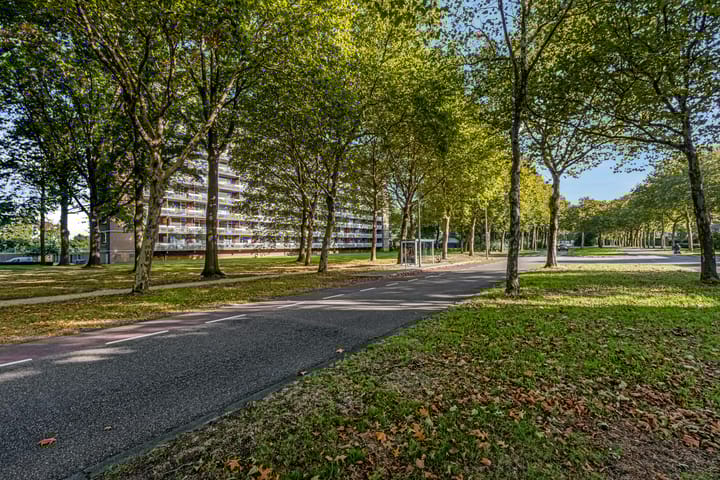 Foto 19 van Lisztgaarde 262