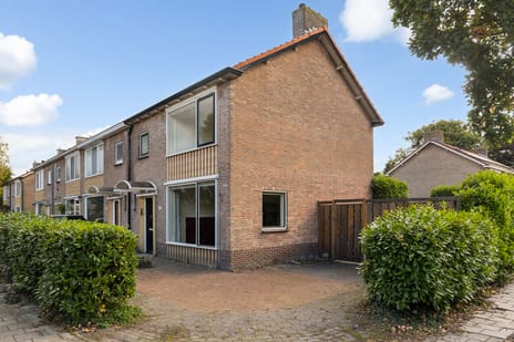 undefined main image