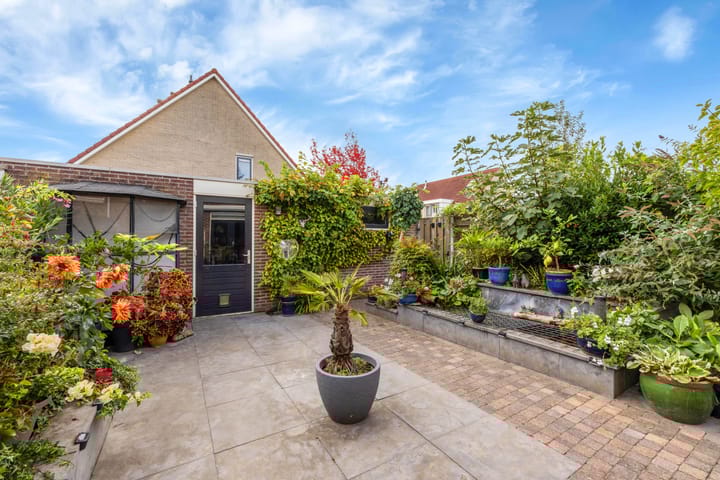 Photo 17 of Bizetpad 2